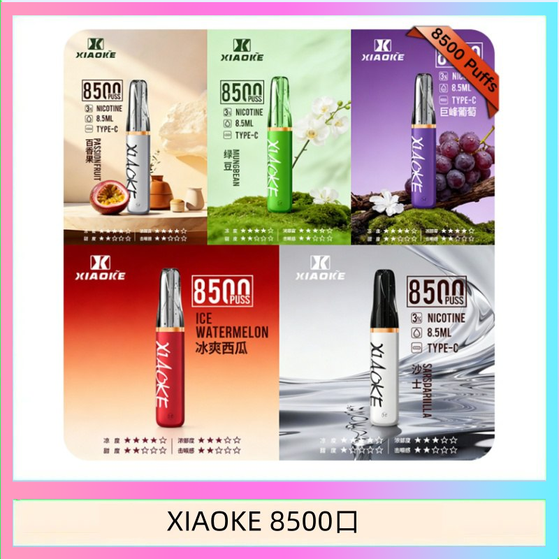 XIAOKE8500口 梟客XIAOKE一次性電子菸拋棄式8500口